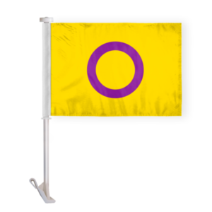 Intersex Car Window Flag 10.5×15 inch