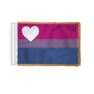 Biromantic Asexual Pride Antenna Flag - 4x6 inch