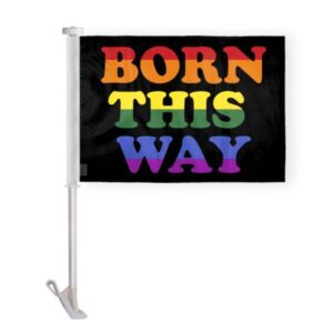 Born This Way Pride Car Window Flag 10.5×15 inch