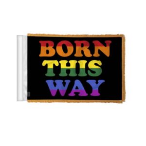 Born This Way Pride Antenna Aerial Flag For Cars with Gold Fringe 4×6 inch