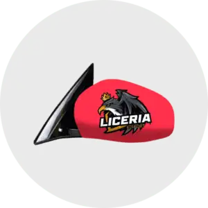 Car Side Mirror Cover